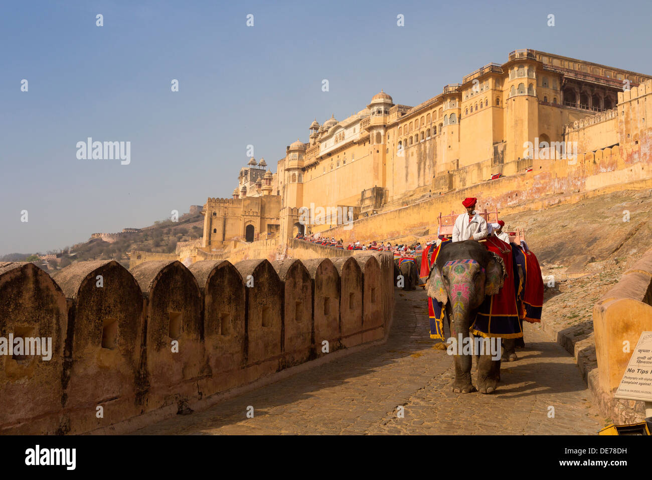 Indien, Rajasthan, Jaipur, Elefanten im amber fort Stockfoto