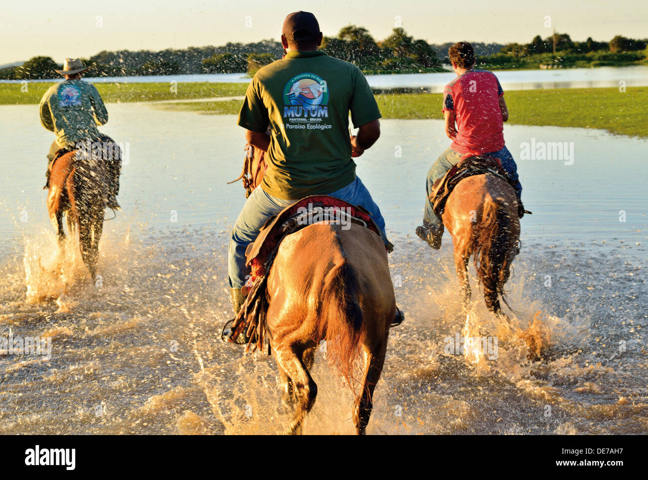 Brasilien, Pantanal: Drei Männer im Galopp mit Pantaneiro Pferden durch das Wasser Stockfoto