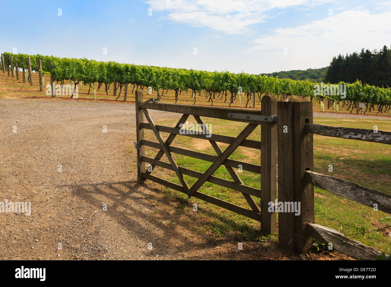 Fünf Balken Toröffnung in einem Weinberg in Biddenden, Kent, England, UK, Großbritannien, Stockfoto