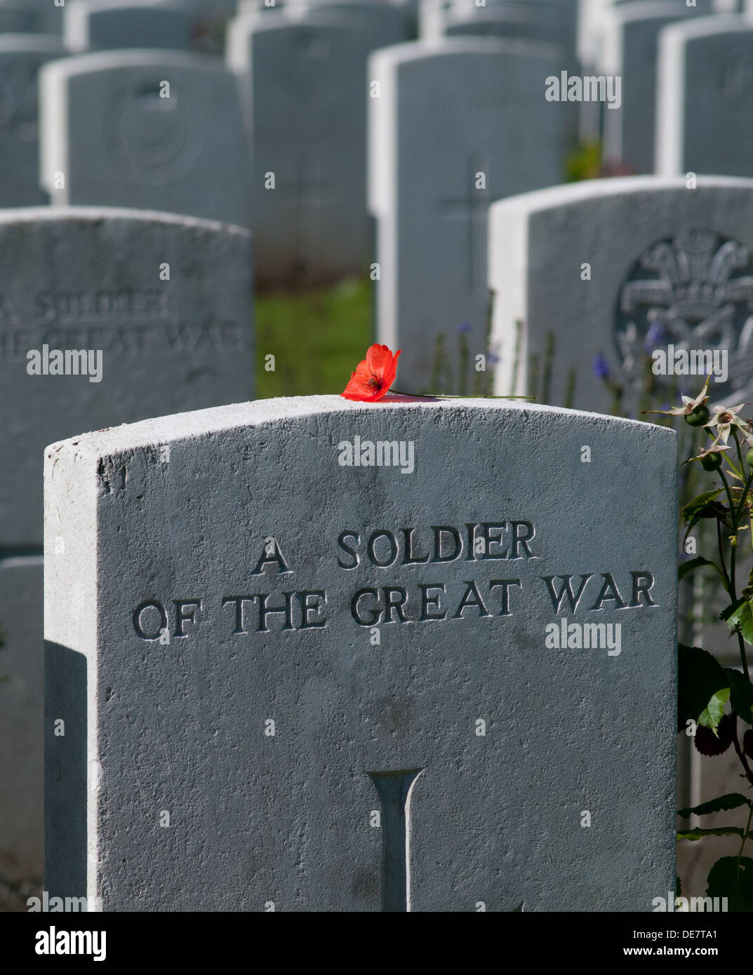 Mohn auf Grabstein in britischen Soldatenfriedhof Connaught Friedhof, Thiepval Wood, Somme Frankreich Stockfoto