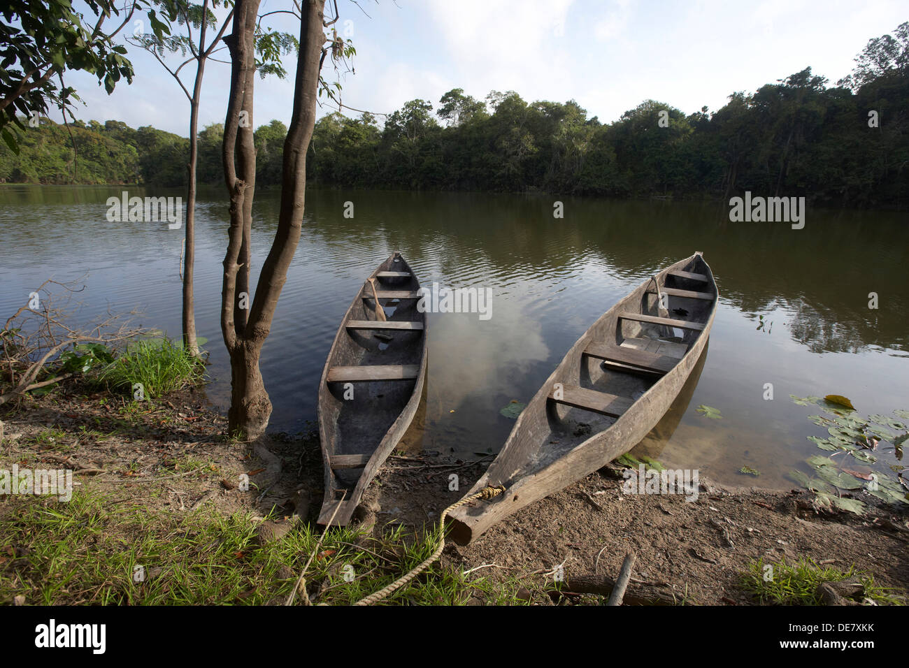 ausgegraben, Kanus auf einem Oxbow See aus die Rewa River, Fisch, Guyana, Südamerika Stockfoto