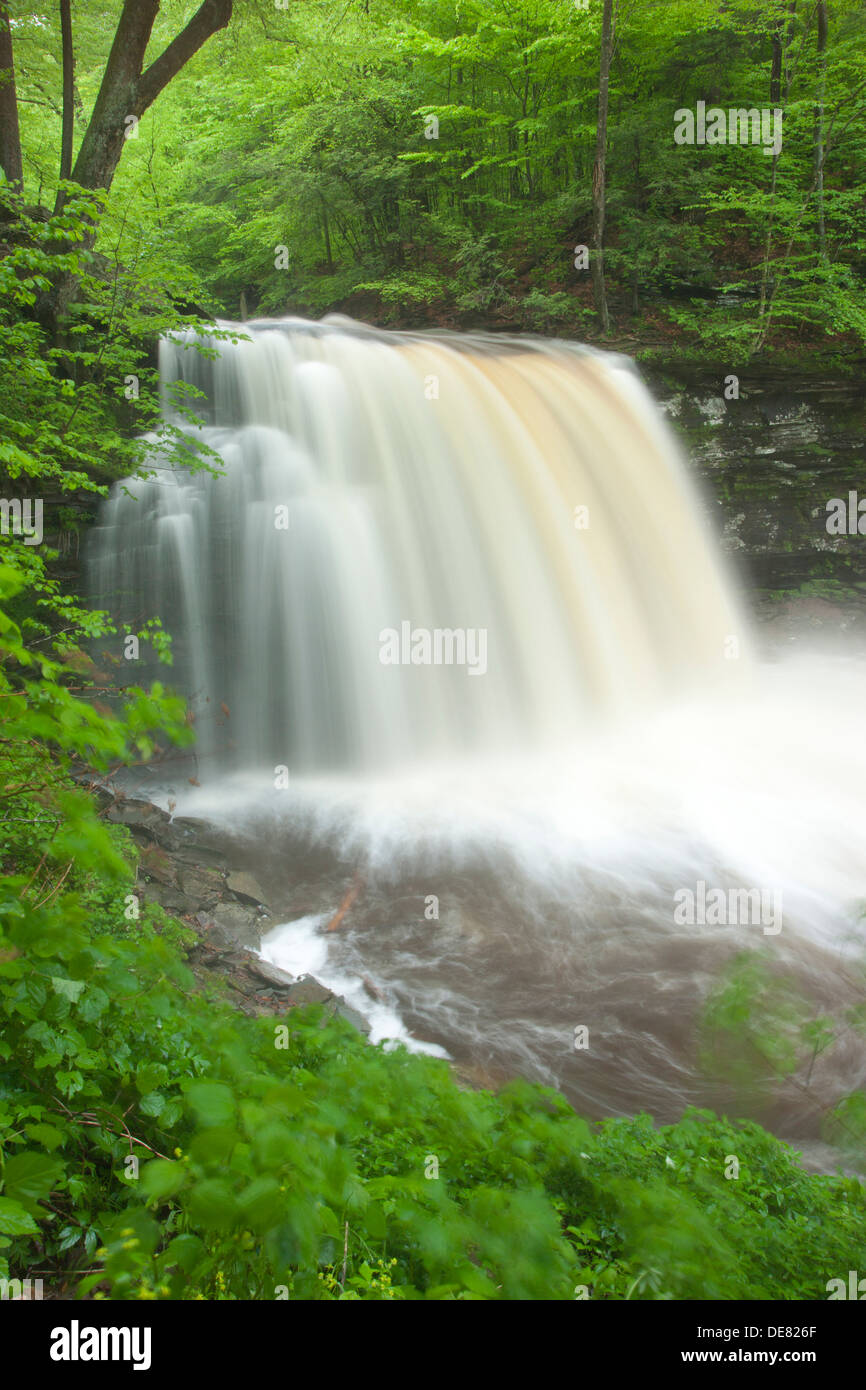 ERIE WASSERFALL KÜCHE CREEK RICKETTS GLEN STATE PARK LUZERNE COUNTY PENNSYLVANIA USA Stockfoto