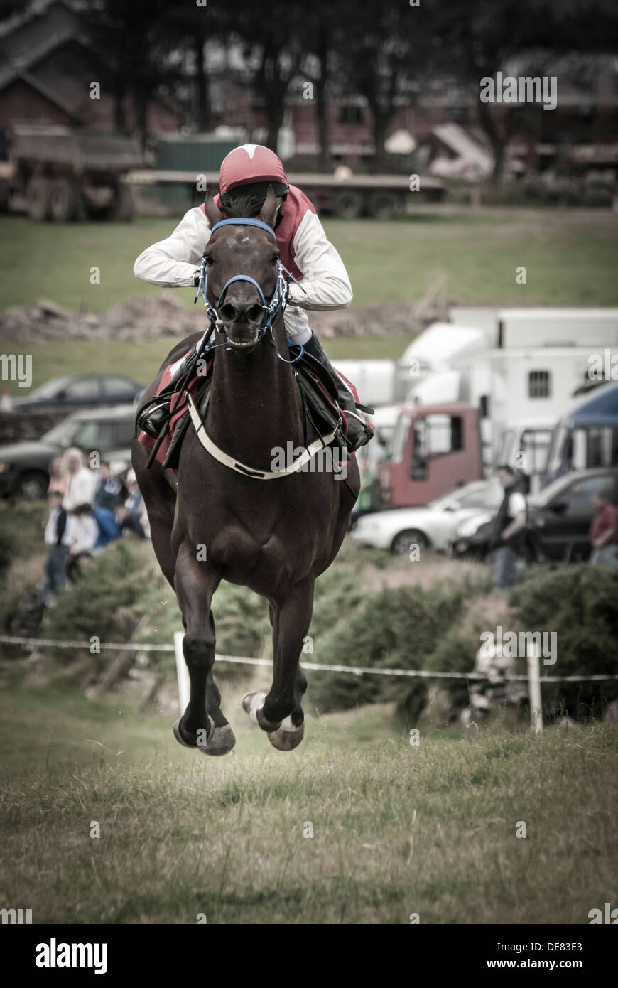 Pferderennen - Dingle-Derby Stockfoto
