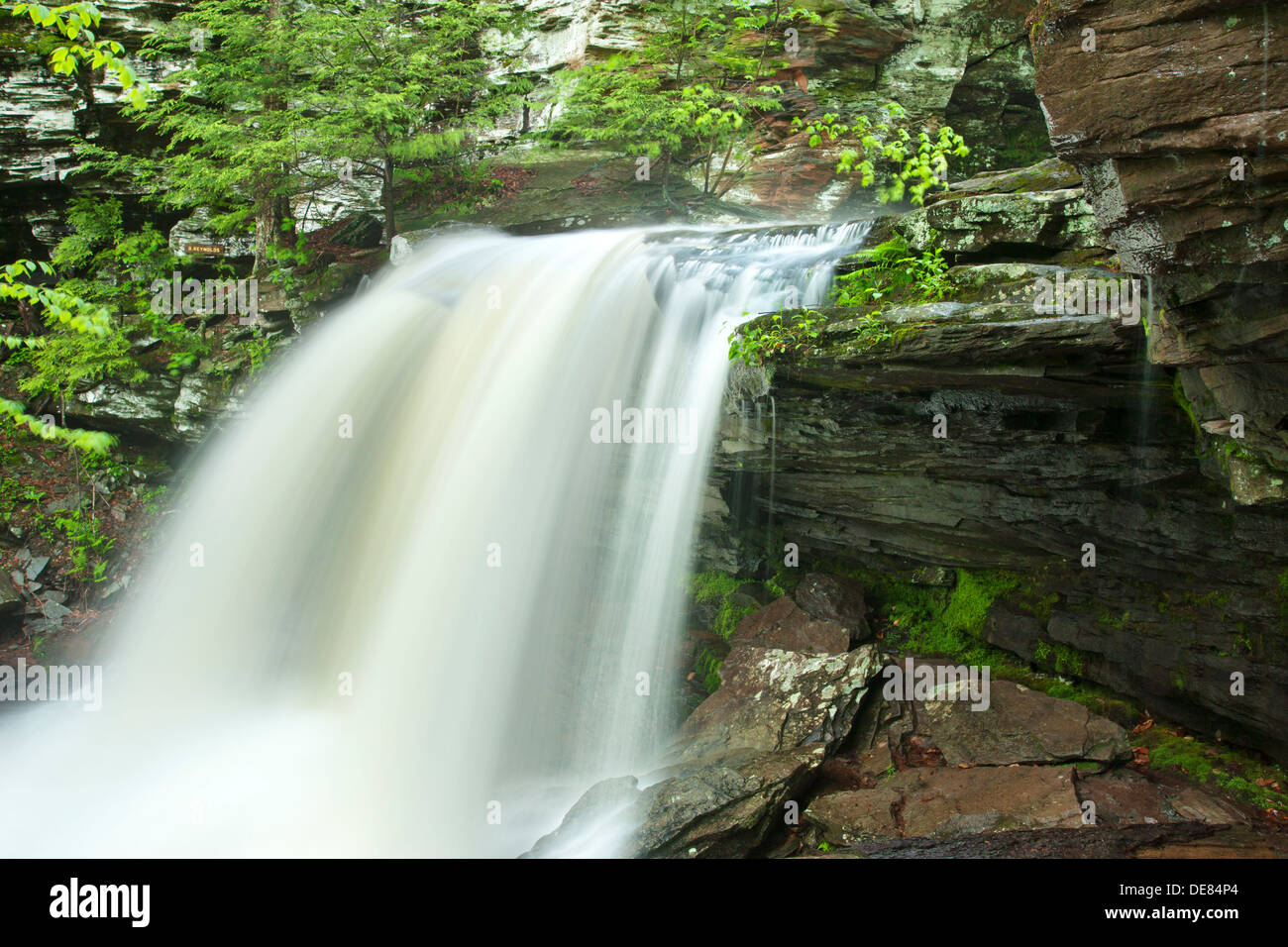 B REYNOLDS WASSERFALL KÜCHE CREEK RICKETTS GLEN STATE PARK LUZERNE COUNTY PENNSYLVANIA USA Stockfoto