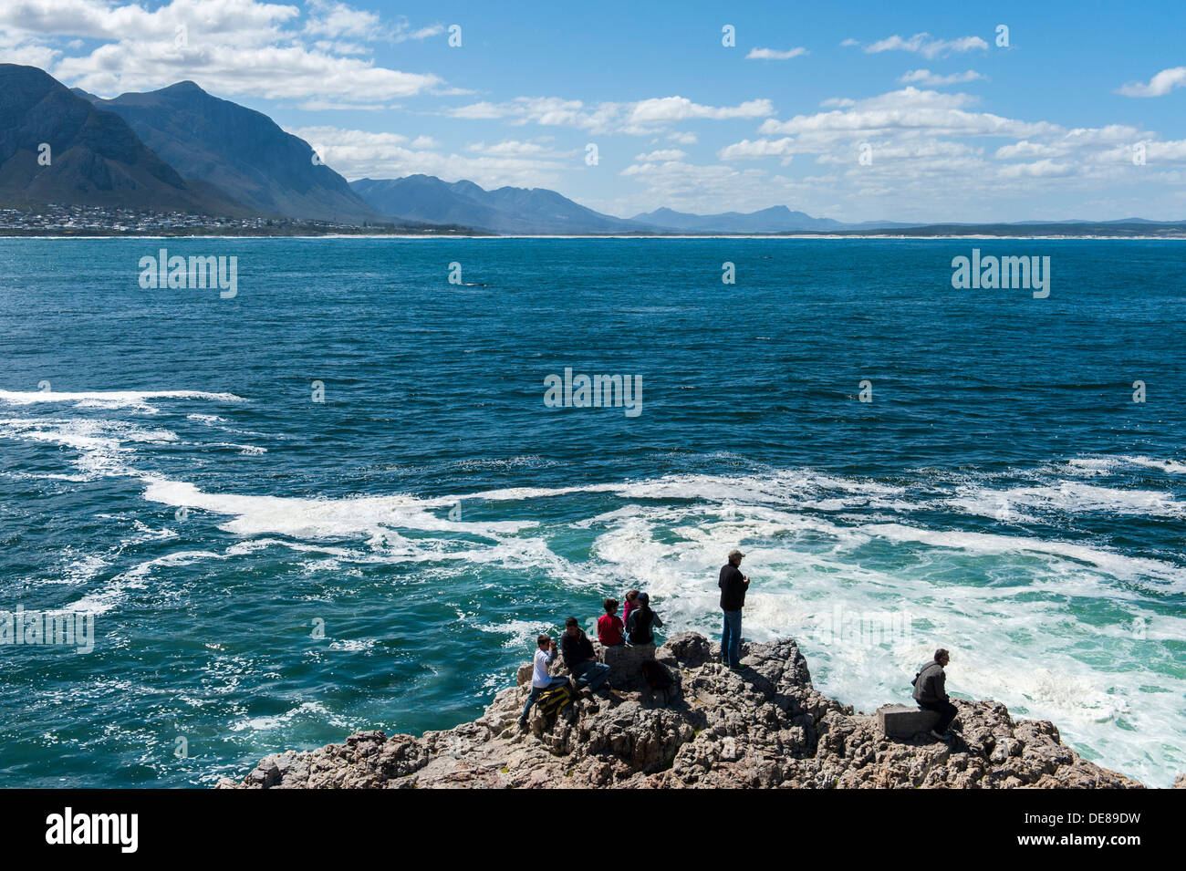 Menschen auf der Suche nach Walen vom oberen Rand einer felsigen Küste, Hermanus, Western Cape, Südafrika Stockfoto