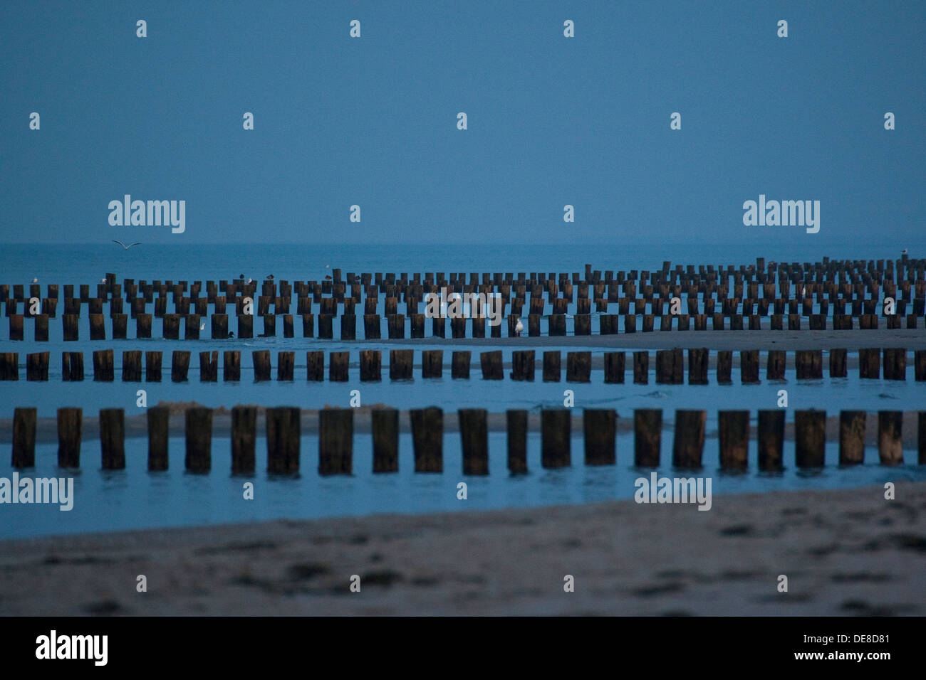 Ostsee, Wellenbrecher, Leistengegend, Steg, Küstenschutz, Ufer Schutz, Küste, Küste, Buhnen, Lahnungen, Lahnungsreihen Stockfoto