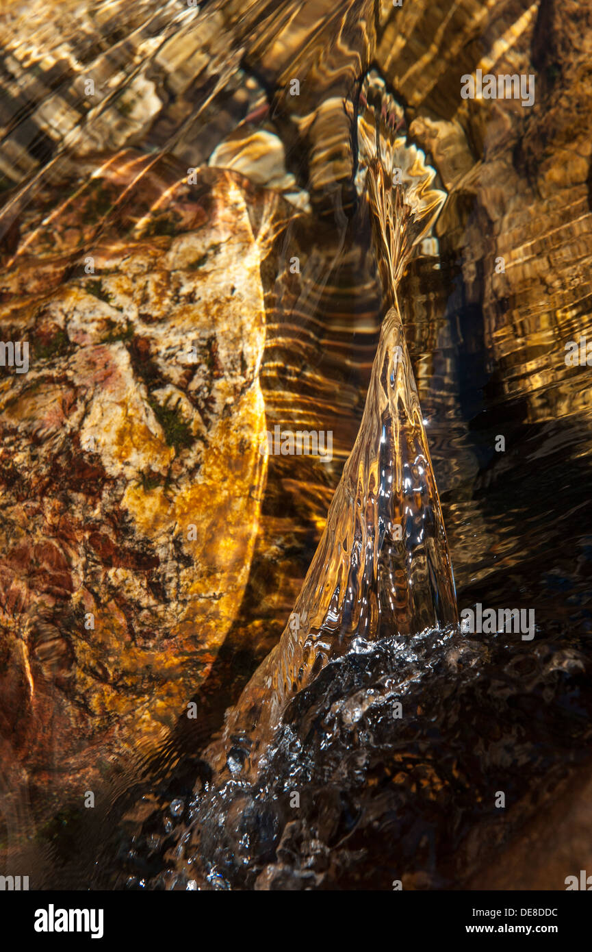 Nahaufnahme von einem Wasserstrom fließt über einen Felsen, Swartberg Bergkette, Western Cape, Südafrika Stockfoto