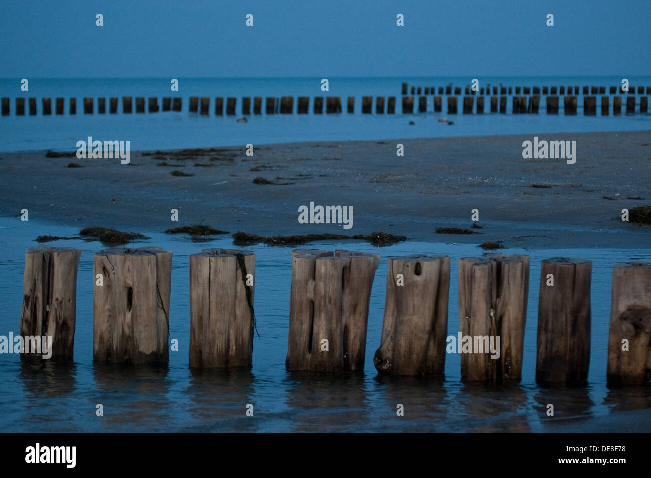 Ostsee, Wellenbrecher, Leistengegend, Steg, Küstenschutz, Ufer Schutz, Küste, Küste, Buhnen, Lahnungen, Lahnungsreihen Stockfoto