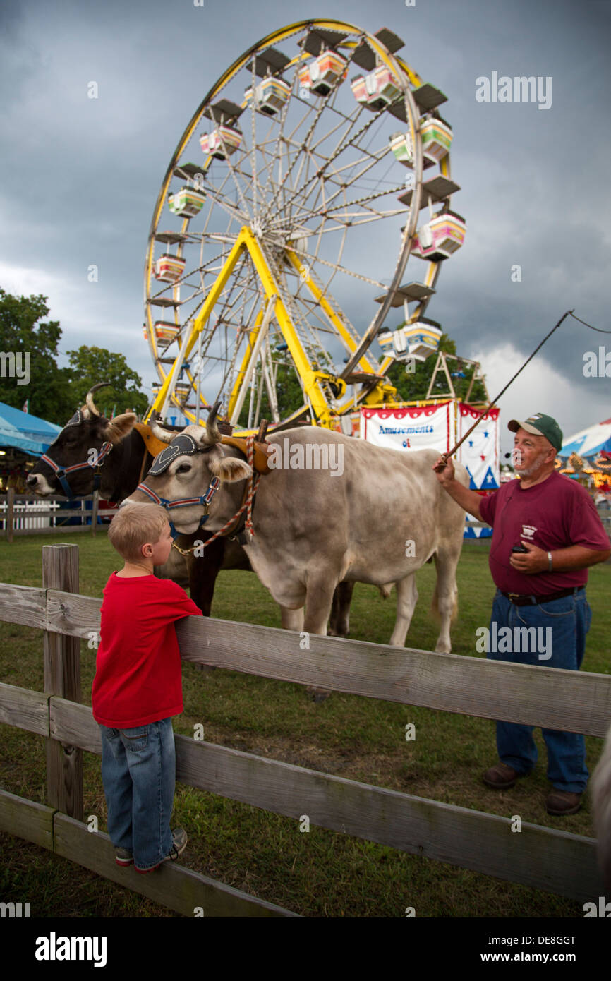 Gespanntes paar ochsen Fotos und Bildmaterial in hoher Auflösung Alamy
