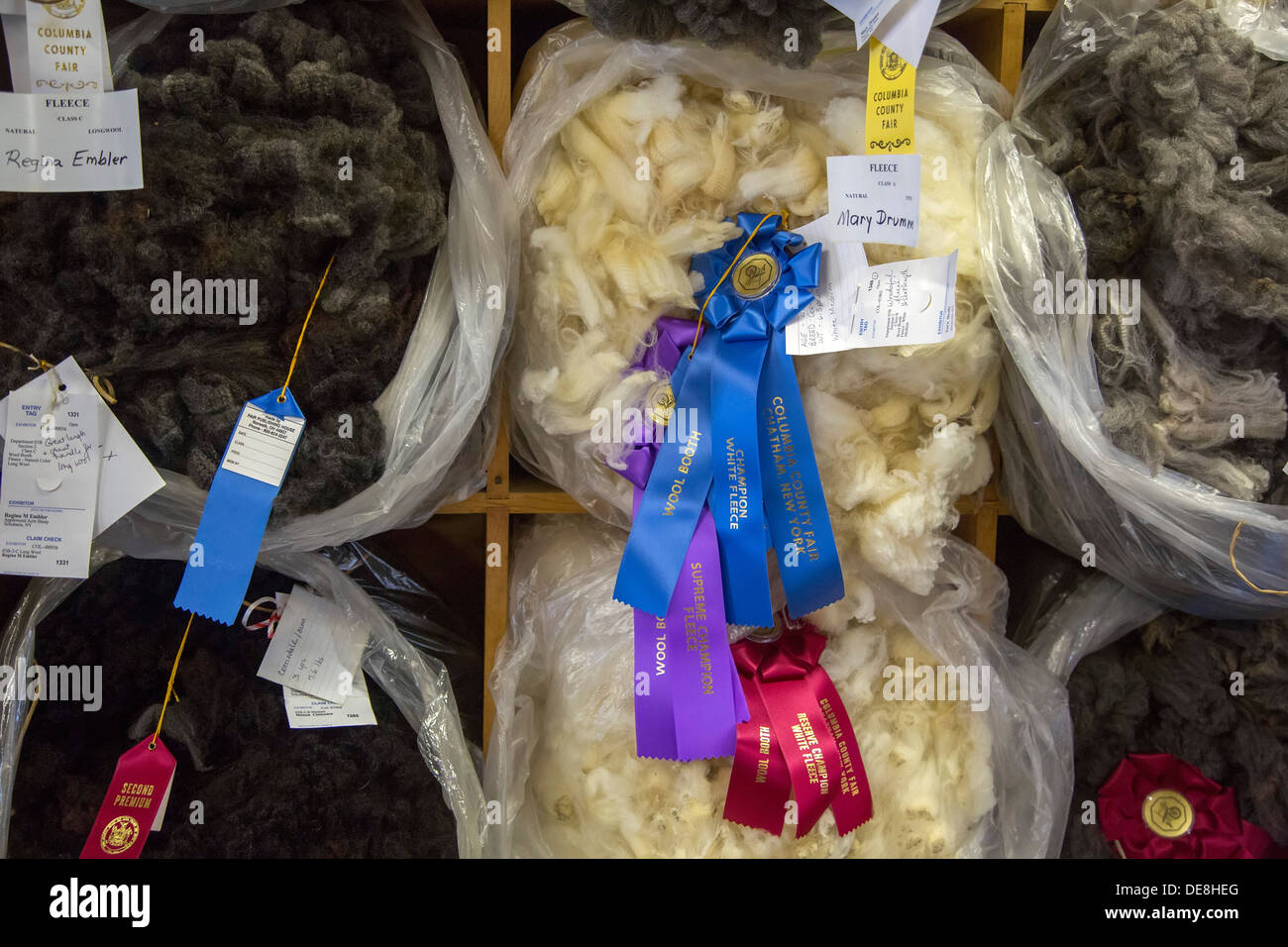 Chatham, New York - preisgekrönte Wolle im Columbia County Fair. Stockfoto