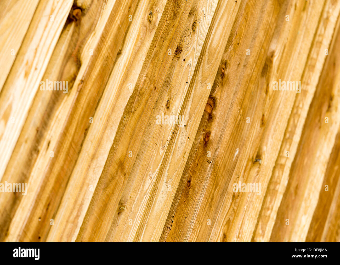 21.08.2013 HOLZZAUN Stockfoto