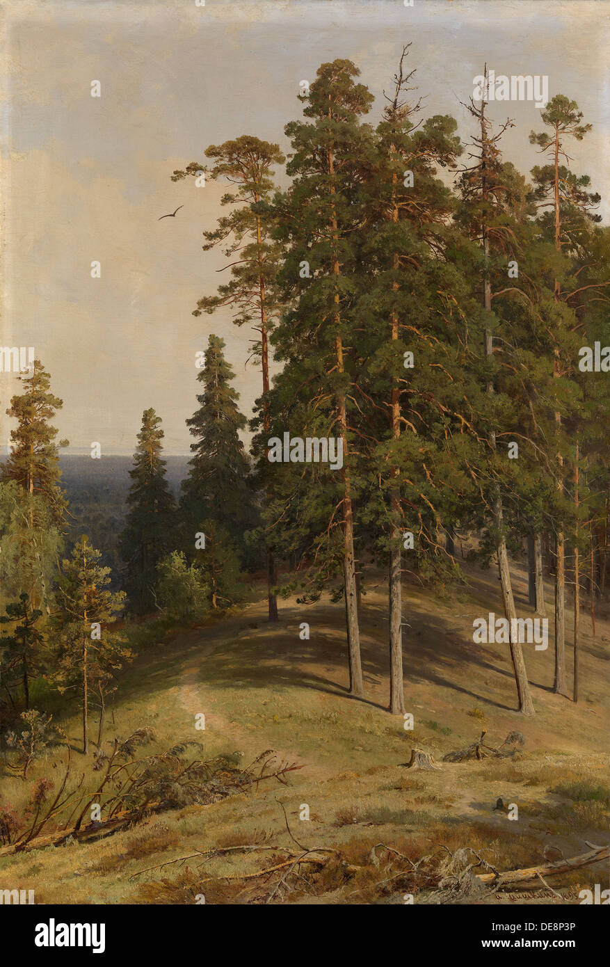 Der Kiefernwald, 1895. Künstler: Shishkin, Ivan Ivanovich (1832-1898) Stockfoto
