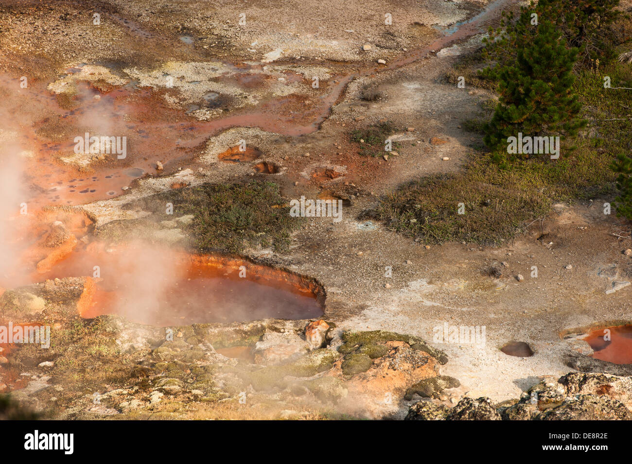 Foto des Bereichs Künstler Farbtöpfe fand im Yellowstone-Nationalpark, Wyoming. Stockfoto