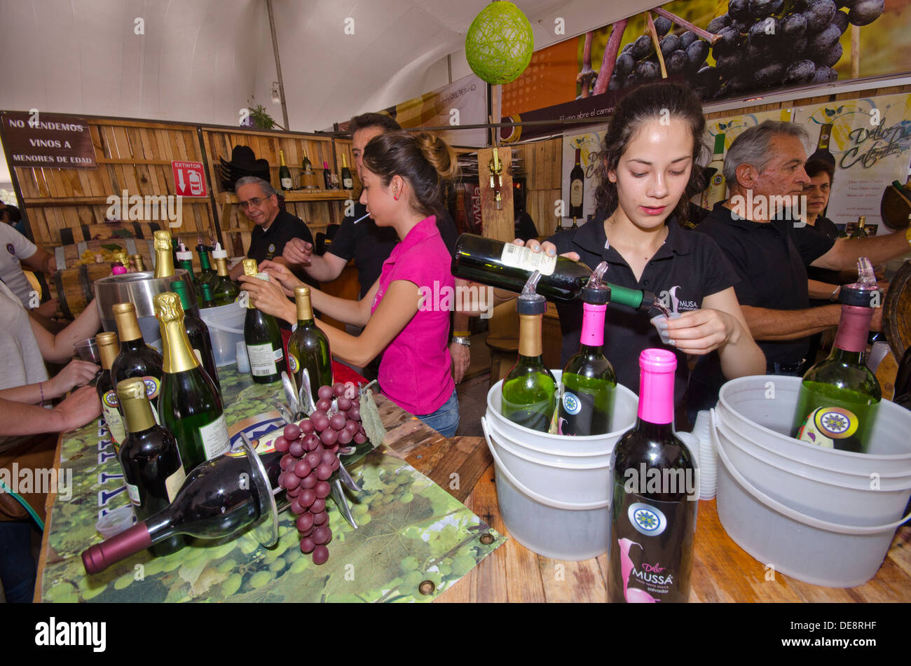Weinprobe auf dem internationalen Käse und Wein Festival in Tequisquiapan im Bundesstaat Querétaro in Mexiko Stockfoto