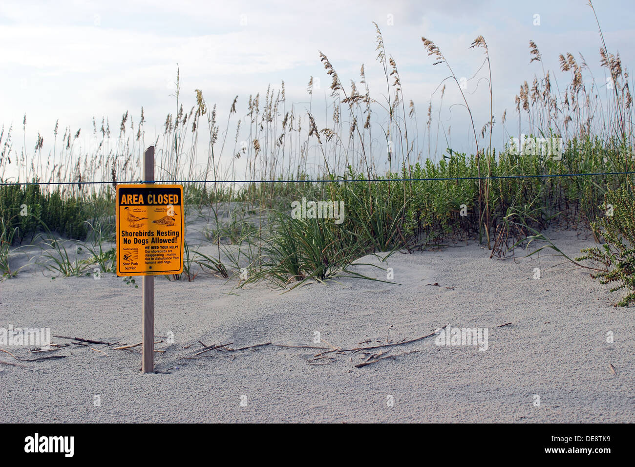Ein Teil der Strand Düne zum Schutz der Umwelt für brütende Vögel abgesperrt. Stockfoto