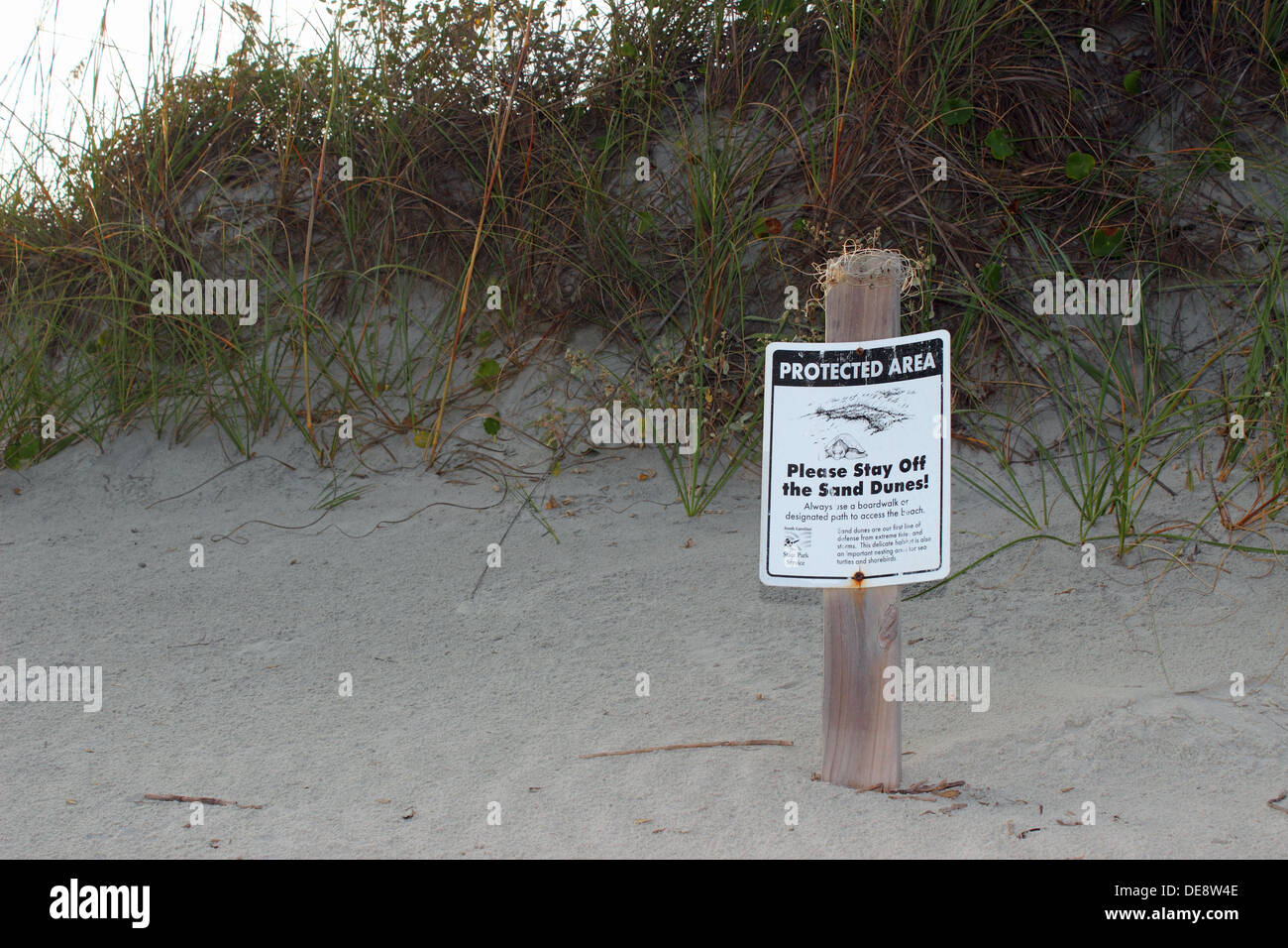 Ein Teil der Strand Düne zum Schutz der nistenden Meeresschildkröten birds.and abgesperrt. Stockfoto