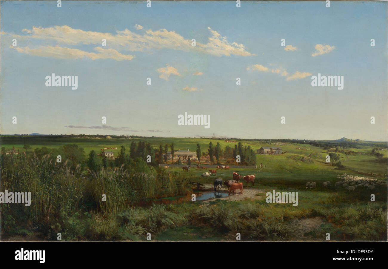 Mount Fyans homestead, 1869. Künstler: Buvelot, Louis (1814-1888) Stockfoto