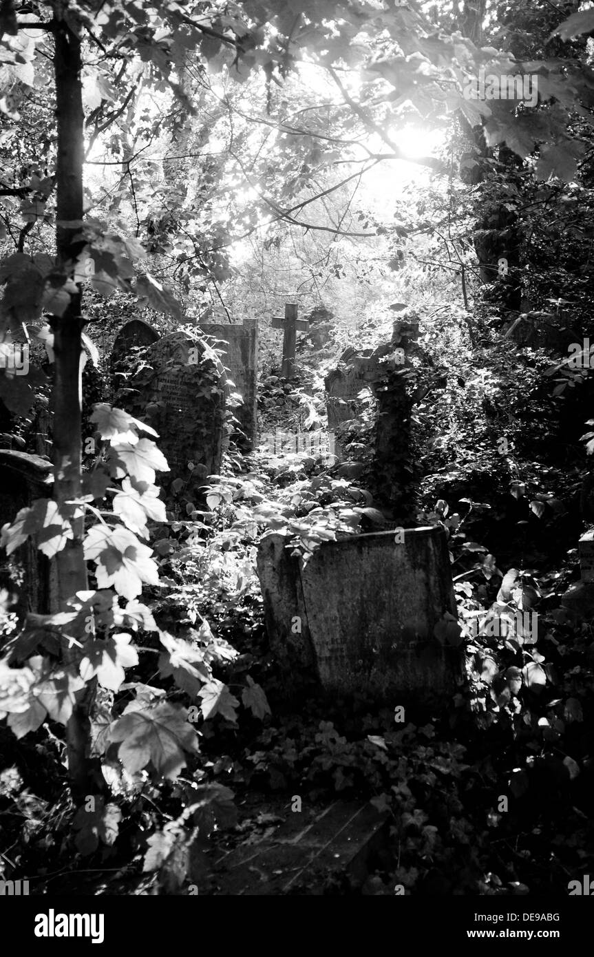 Gefleckte Sonnenlicht auf dem Friedhof Stockfoto