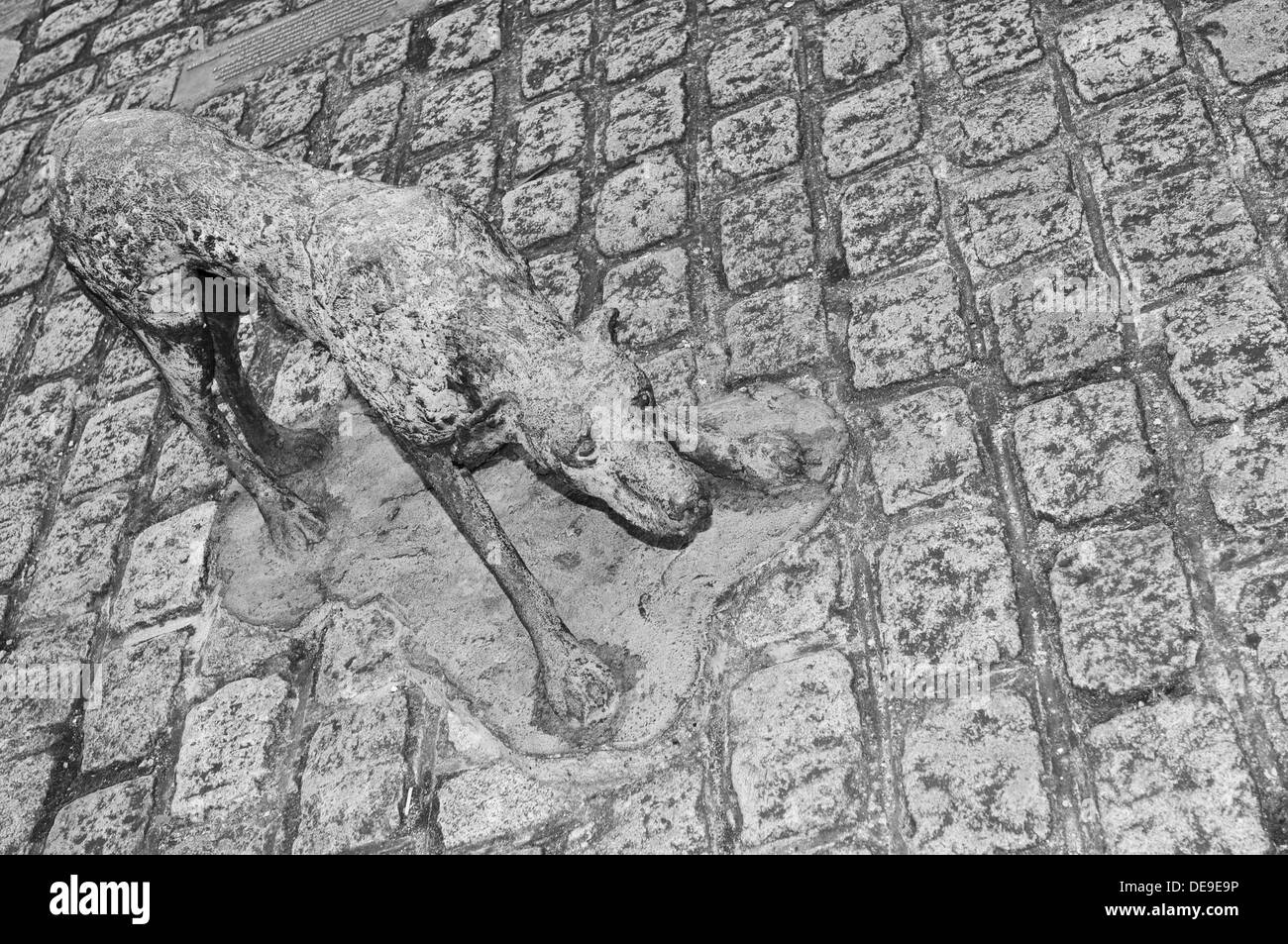 Detail der großen Hungersnot in Irland Statuen in Dublin Stockfoto