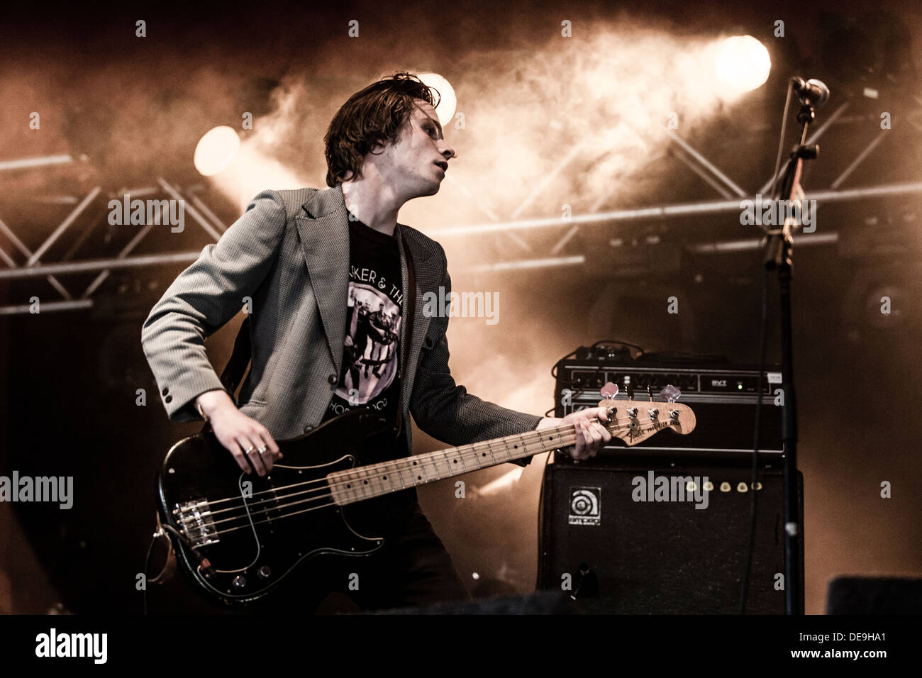 Palma-Veilchen live im Electric Picnic Festival 2013 Stockfoto