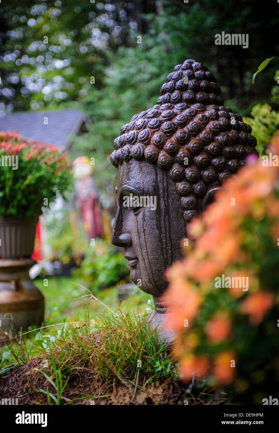 Buddha Kopf Im Garten Mit Regen Auf Gesicht Stockfoto Bild