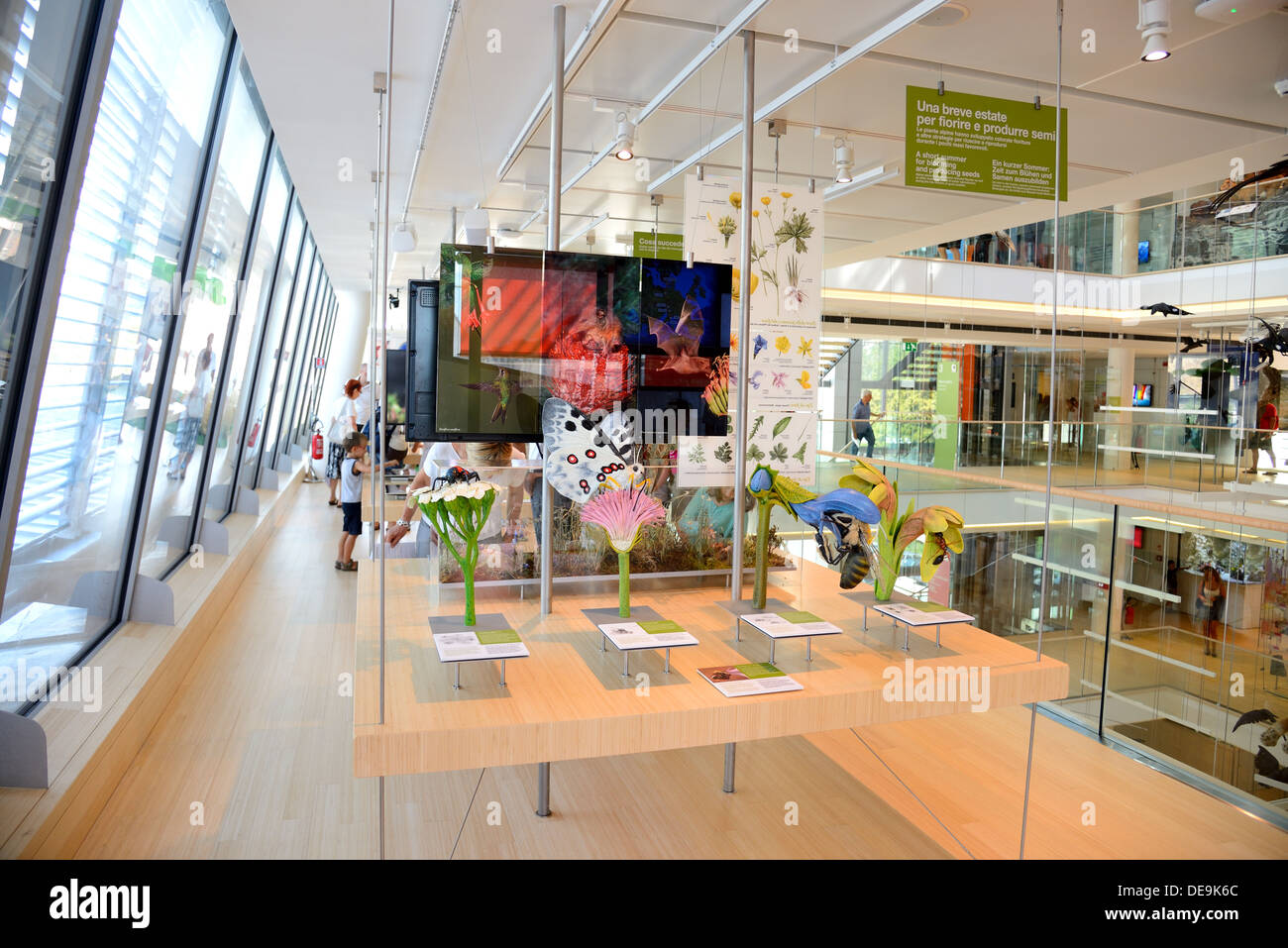 TRENTO, Italien - AUGUST 6: die Muse, interaktives Museum, entworfen vom Architekten Renzo Piano, wurde am 23. Juli 2013 eingeweiht. Stockfoto