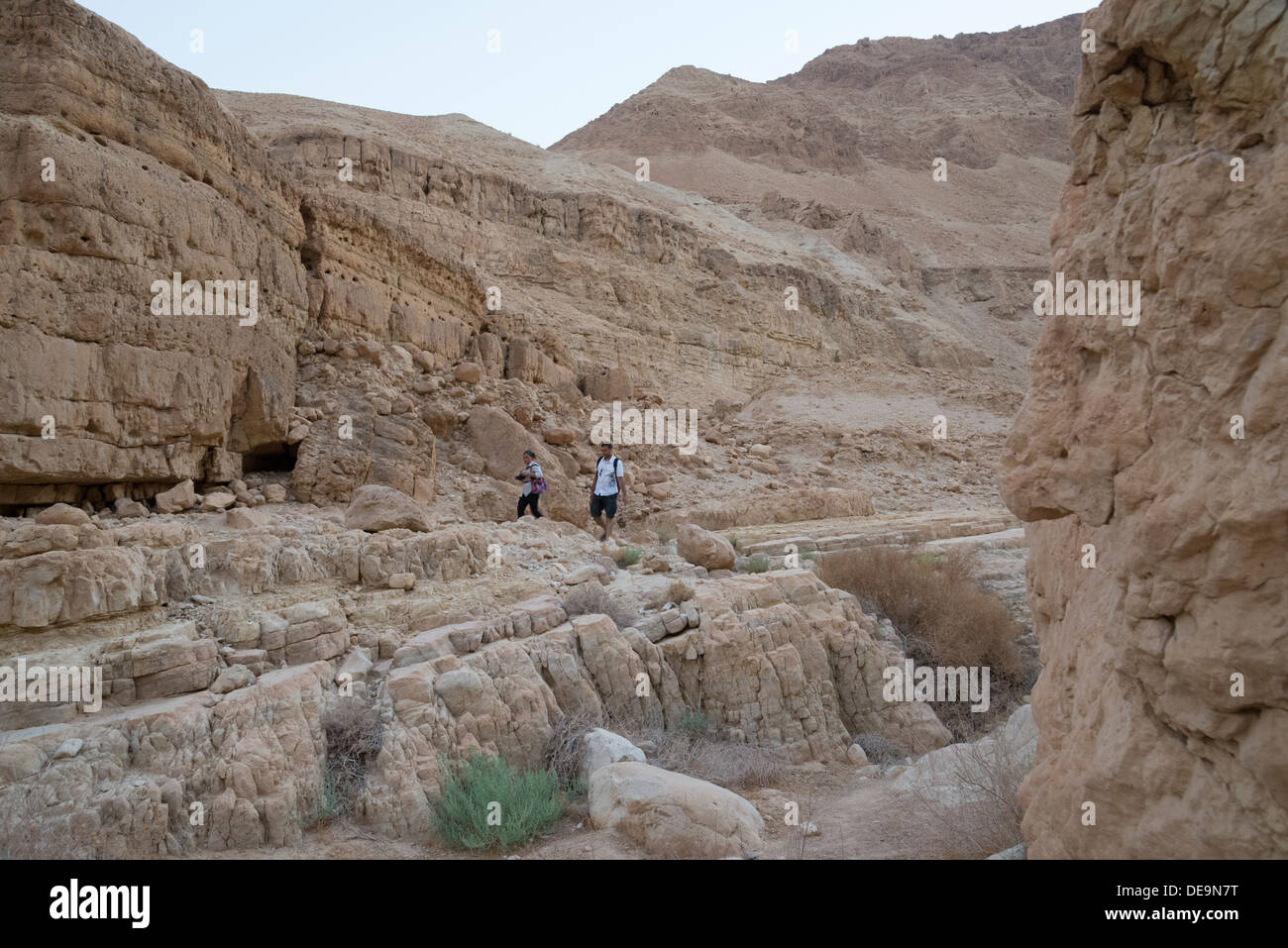 Wanderung im Wadi Zeelim. Wüste von Judäa. Israel. Stockfoto