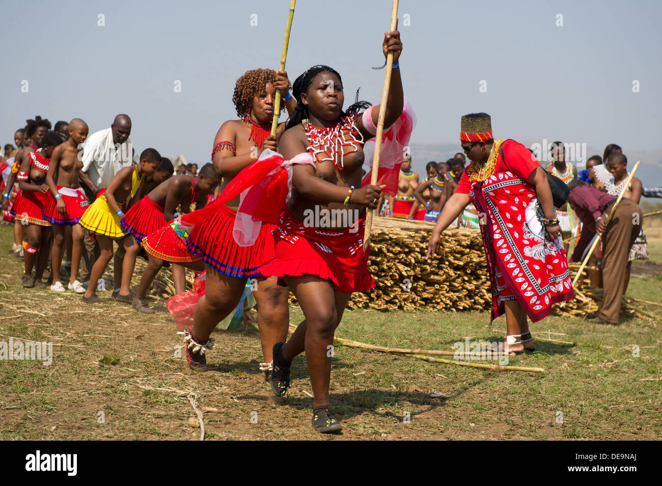 Zulu Jungfrauen liefern Schilf Stöcke an den König Zulu Reed Dance im ...