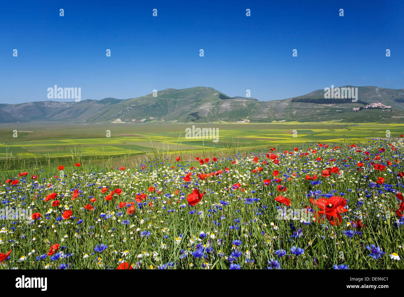 Piano Grande - Monti Sibillini - Italien - Juni Stockfoto