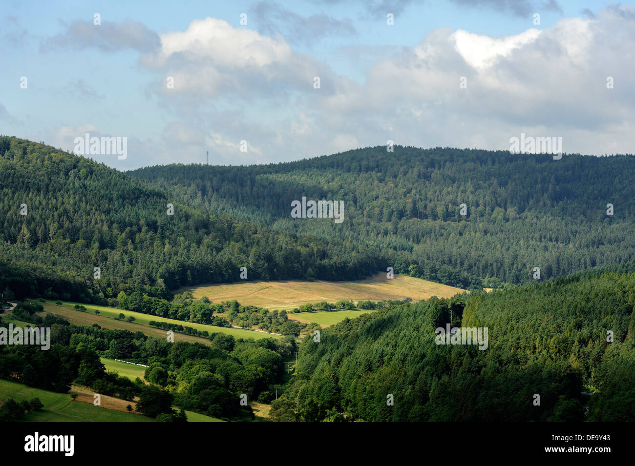 Blick vom Gotthardsruine auf Wald Oden Bayern, Deutschland Stockfoto