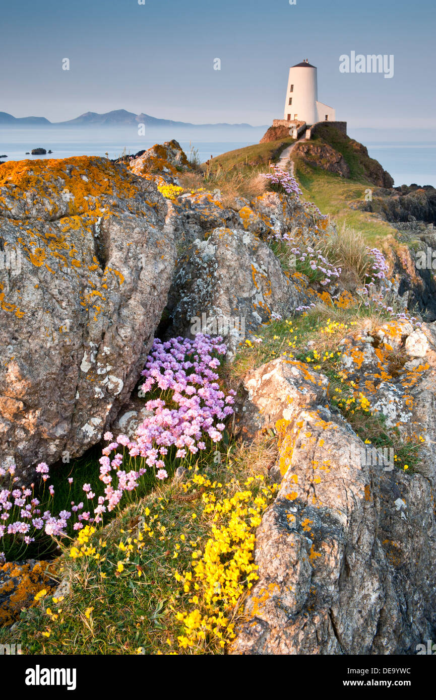 Tŵr Mawr Leuchtturm im Sommer unterstützt von Lleyn Halbinsel, Llanddwyn Island, Newborough, Anglesey, Nordwales Stockfoto