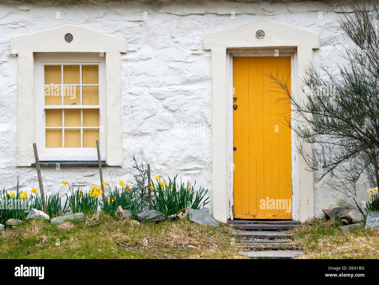 Detail der walisischen Cottage mit gelben Tür im Frühjahr, Snowdonia National Park, North Wales, UK Stockfoto