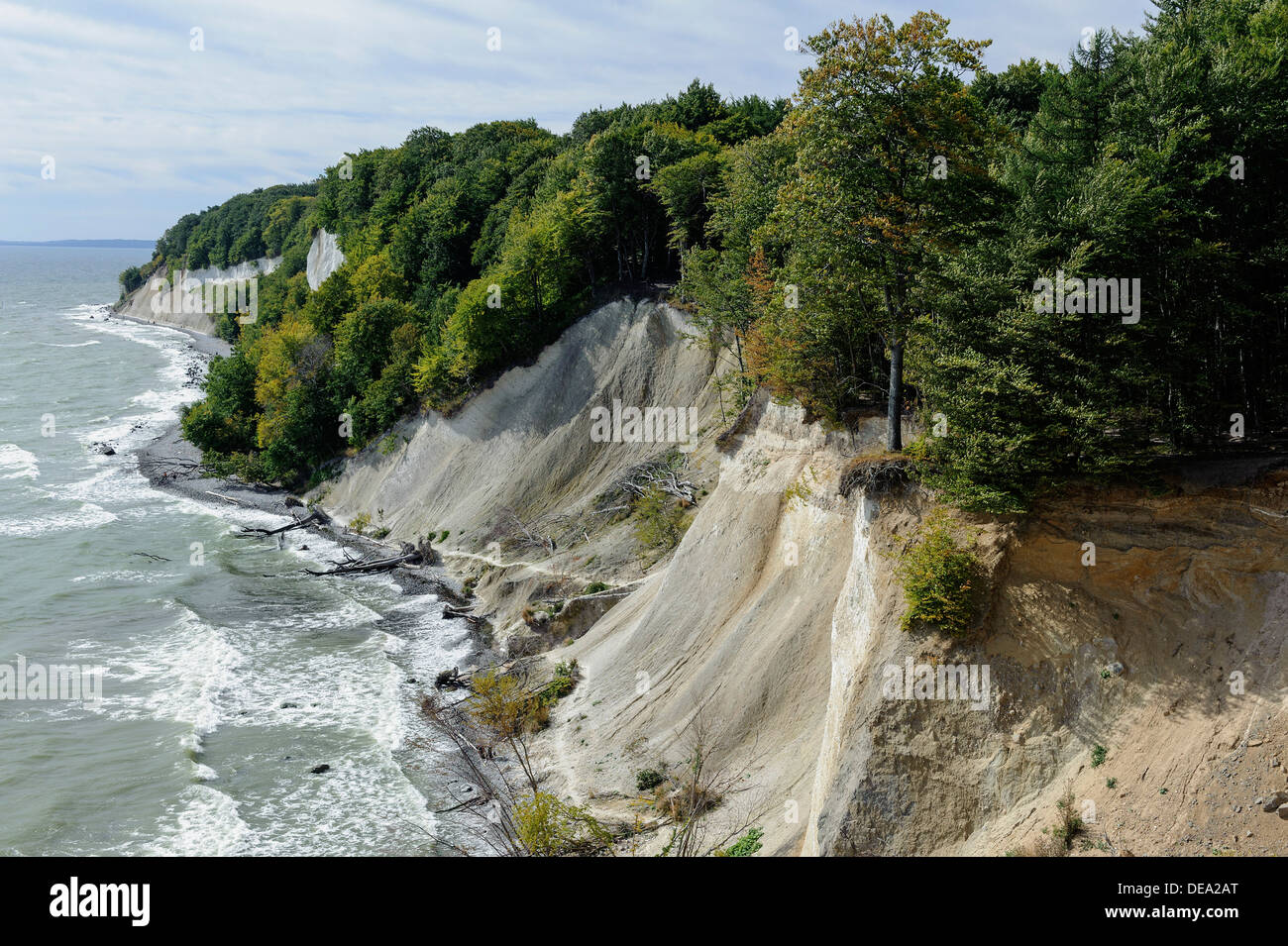 Kreide-Küste im Nationalpark Jasmund, Insel Rügen, Mecklenburg-Vorpommern, Deutschland Stockfoto