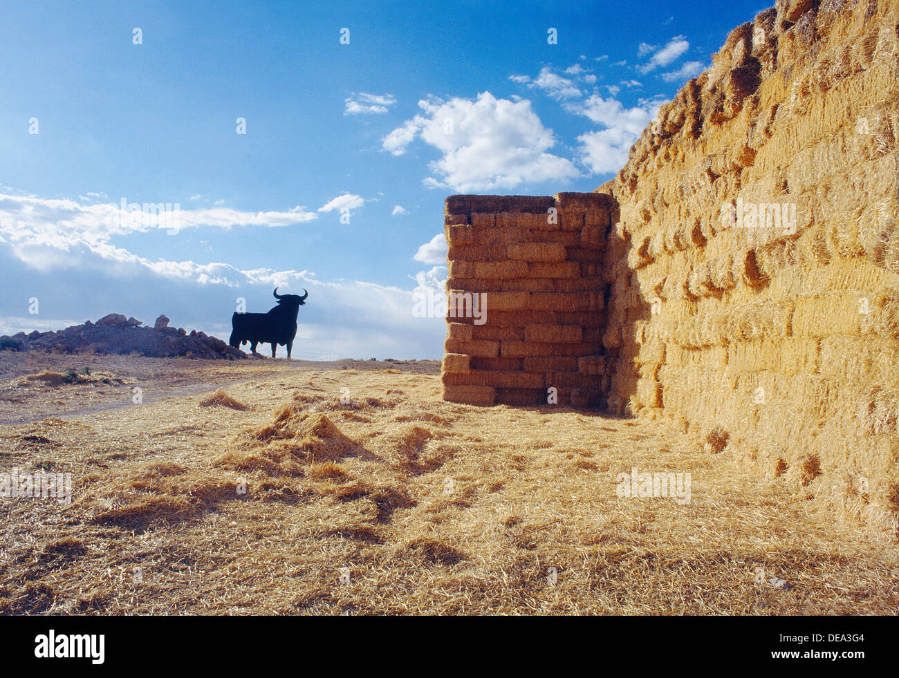Strohballen und Osborne Stier. Cuenca Provinz, Castilla La Mancha, Spanien. Stockfoto