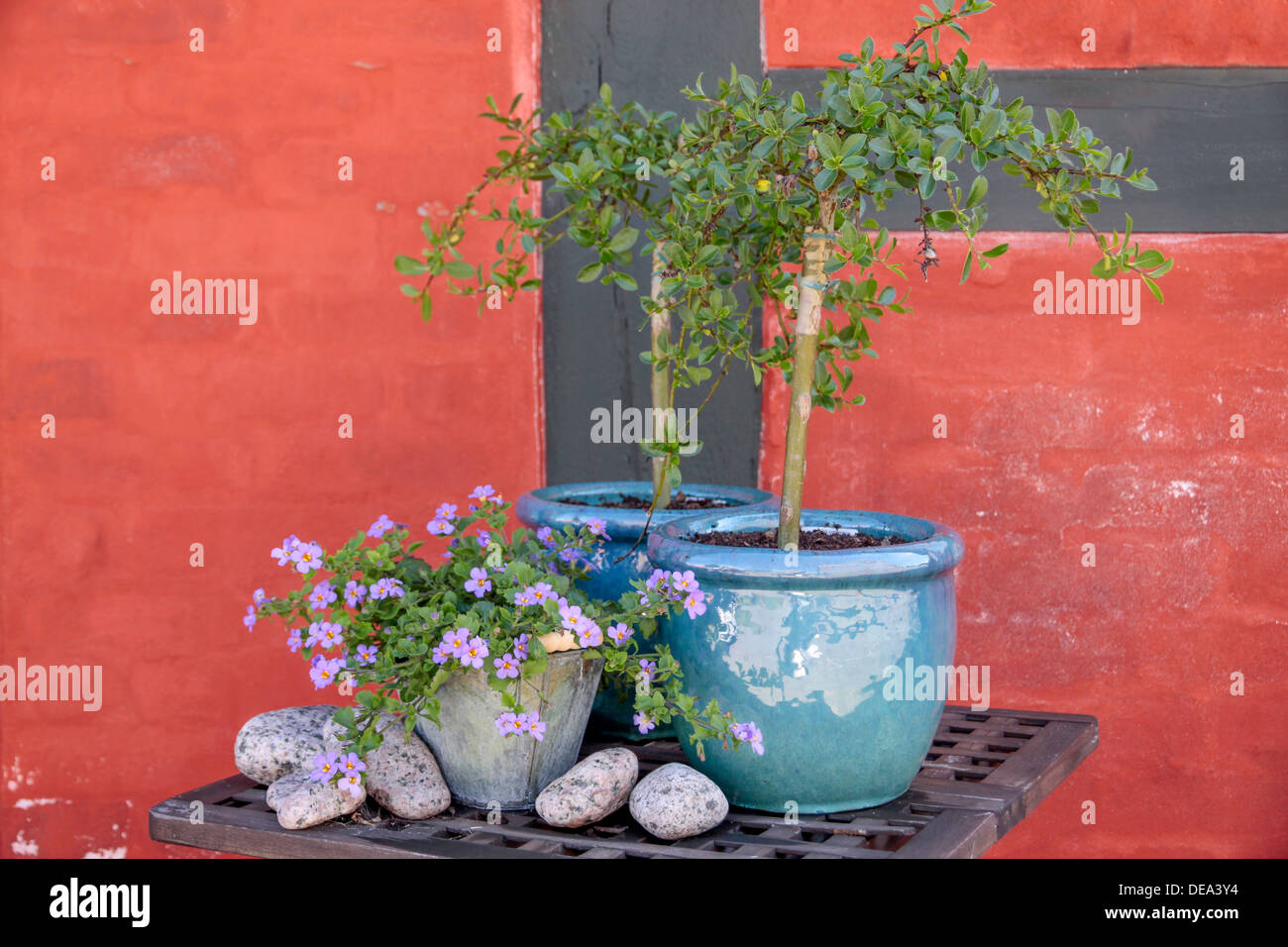 Blumendekoration vor Fachwerkhaus in Svaneke auf Bornholm, Dänemark Stockfoto