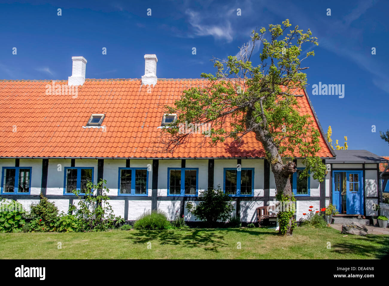 Idyllisches Fachwerkhaus in Svaneke auf Bornholm. Dänemark Stockfoto
