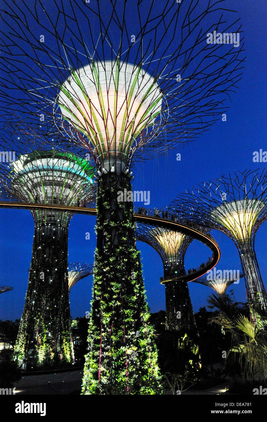 Singapur Sehenswürdigkeiten - Supertrees Gardens by the Bay Stockfoto