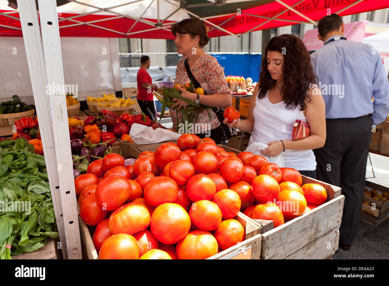 Frau kauft frische Tomaten am Bauernmarkt - Washington, DC USA Stockfoto
