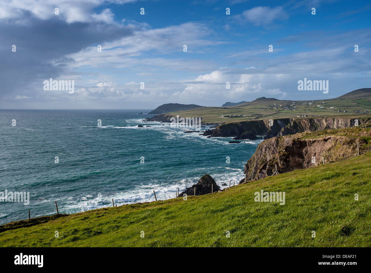 Küste, Halbinsel Dingle, County Kerry, Irland, Europa Stockfoto
