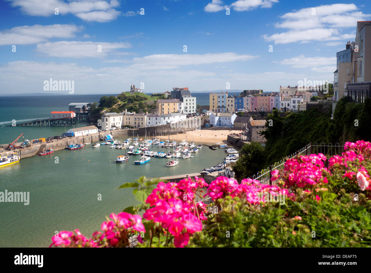 Tenby Hafen mit Blumen im Vordergrund Tenby Pembrokeshire West Wales UK Stockfoto