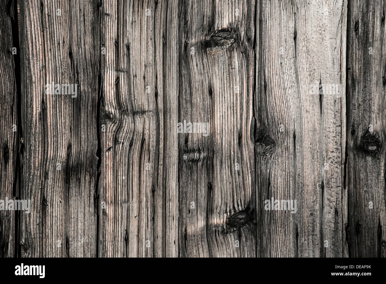 Holzmaserung im Detail, Forcalquier, Provence, Provence-Alpes-Cote, Frankreich Stockfoto