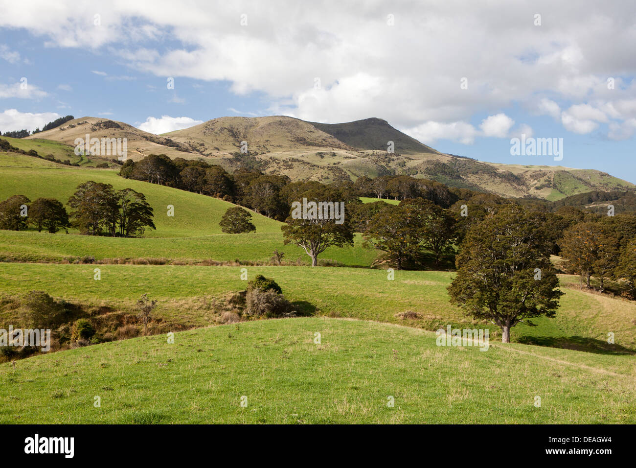 Catlins River Walk in der Nähe von Puketiro, Südinsel, Neuseeland Stockfoto