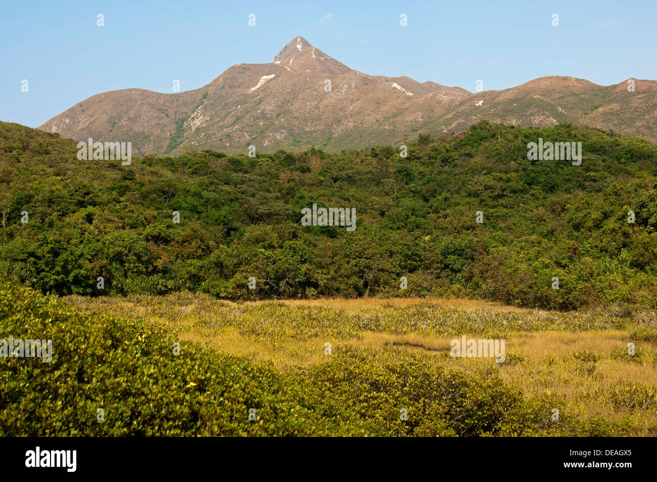 Buschland mit scharfen Peak Bergkette, Sai Kung Country Park, Hong Kong, Hong Kong, China, Volksrepublik China Stockfoto