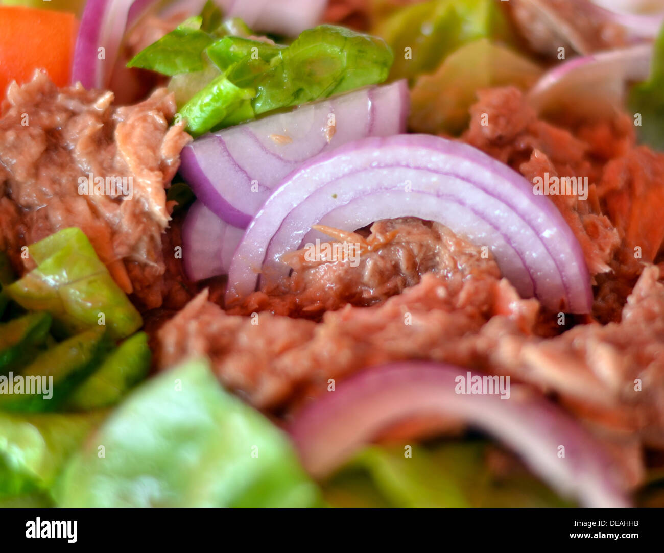 Rote thunfische -Fotos und -Bildmaterial in hoher Auflösung – Alamy Rote thunfische -Fotos und -Bildmaterial in hoher Auflösung – Alamy