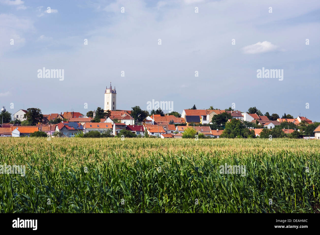 Podivin, Breclav District, Region Süd-Mähren, Tschechische Republik, Europa Stockfoto