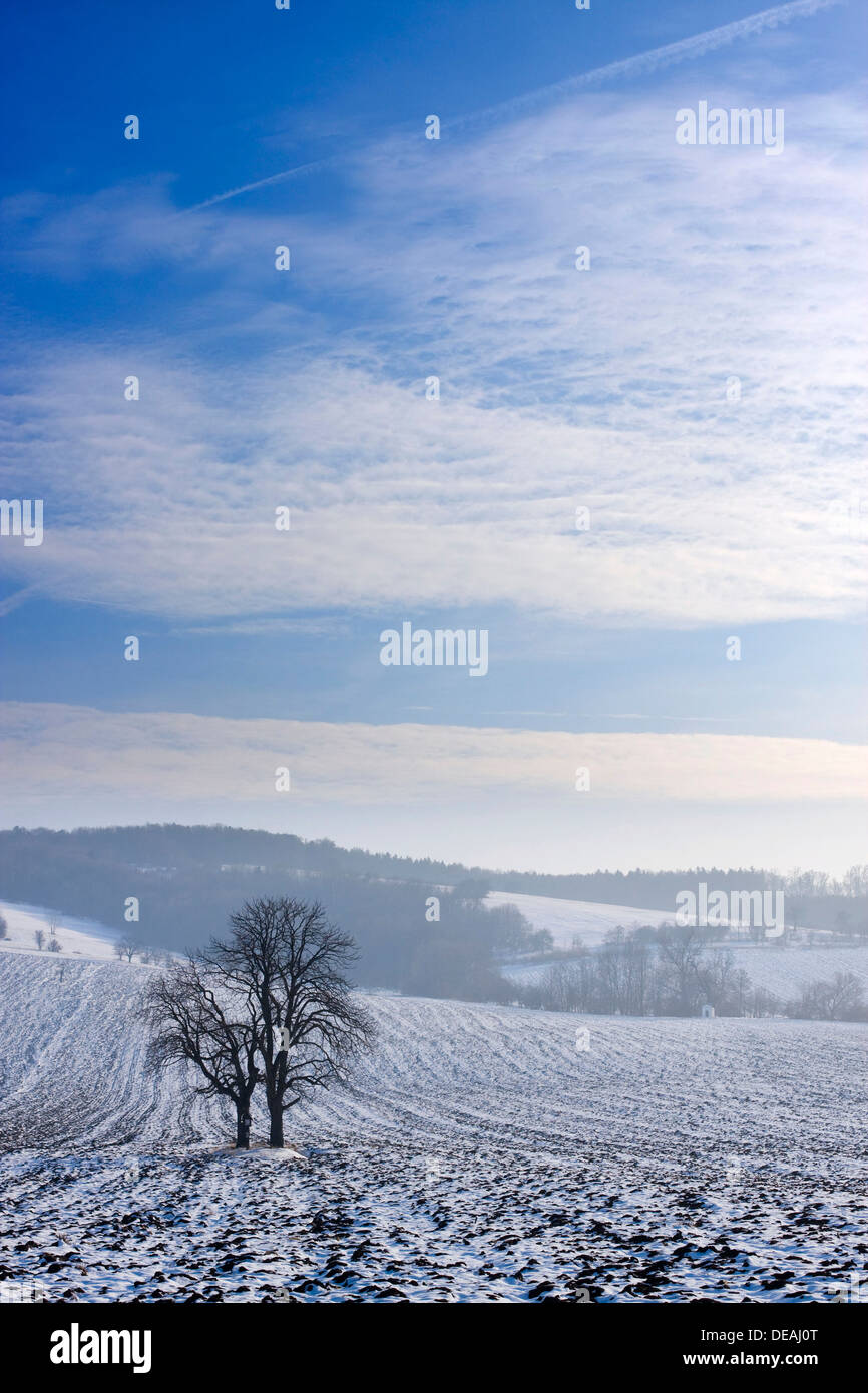 Winterlandschaft in der Nähe von Knezdub, Bile Karpaty, weiße Karpaten Landschaftsschutzgebiet, Südmähren Stockfoto