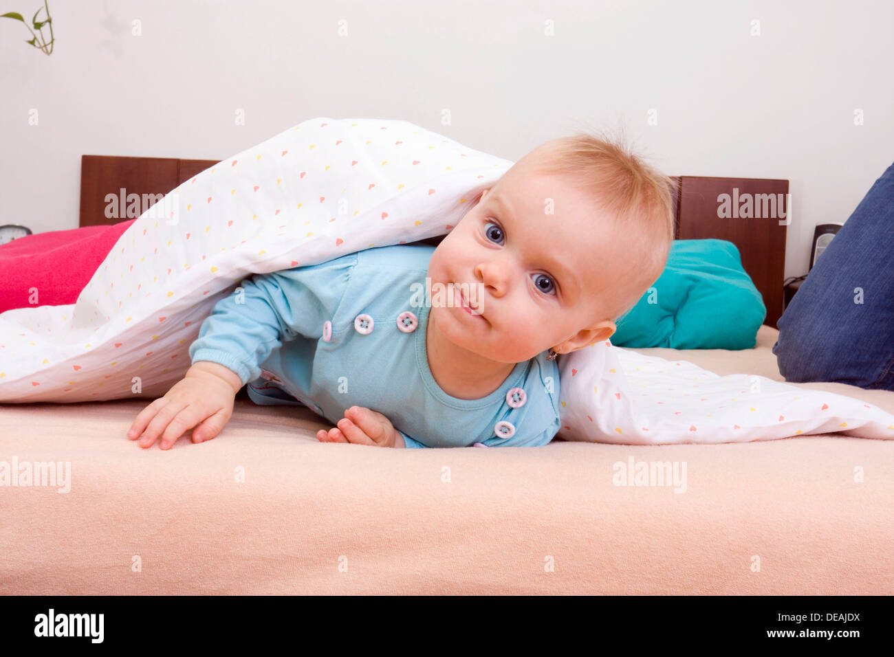 Baby, 1 Jahr, auf dem Bett Stockfoto