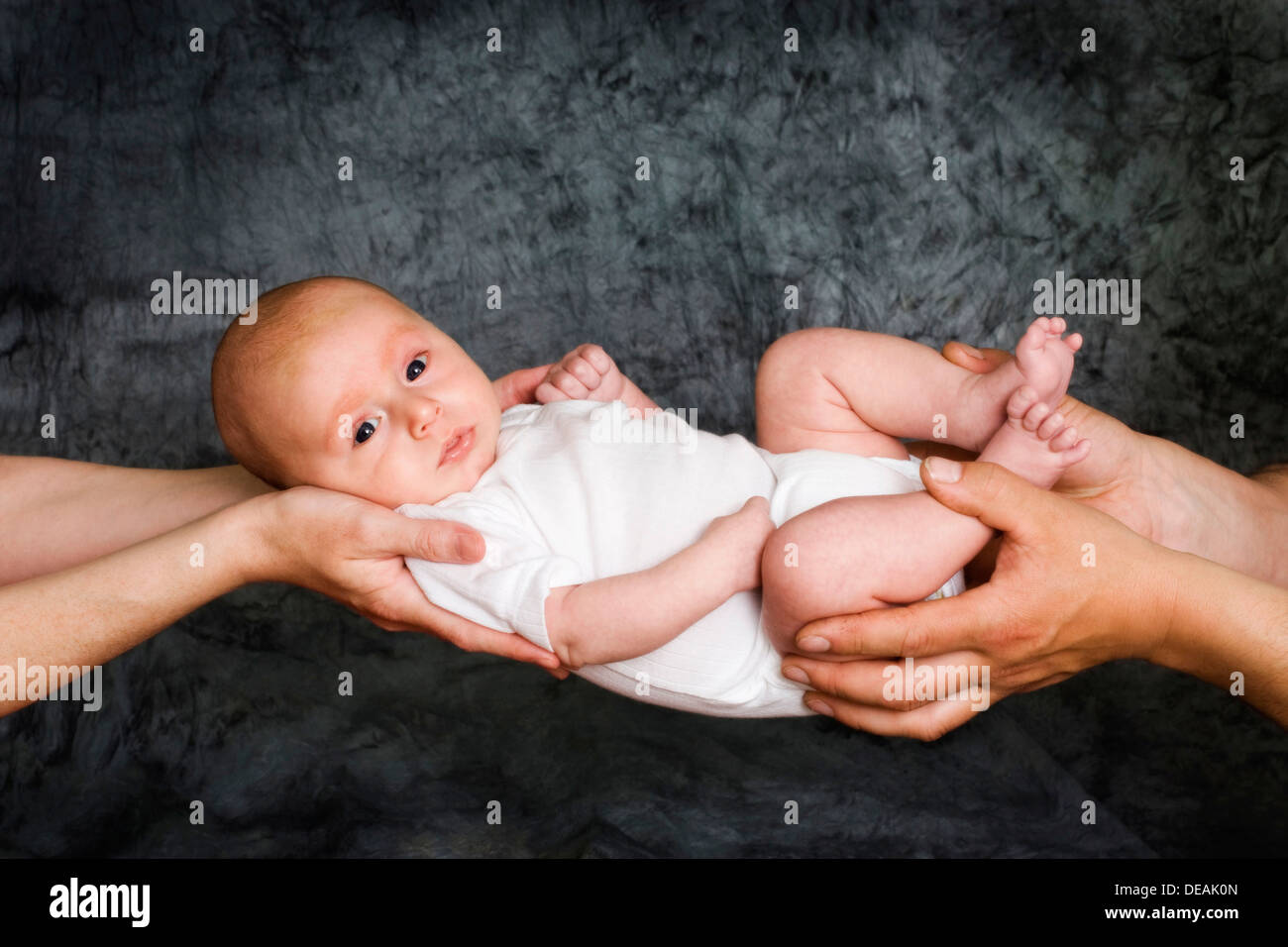 Baby, 2 Monate, statt durch die Hände von Mutter und Vater Stockfoto