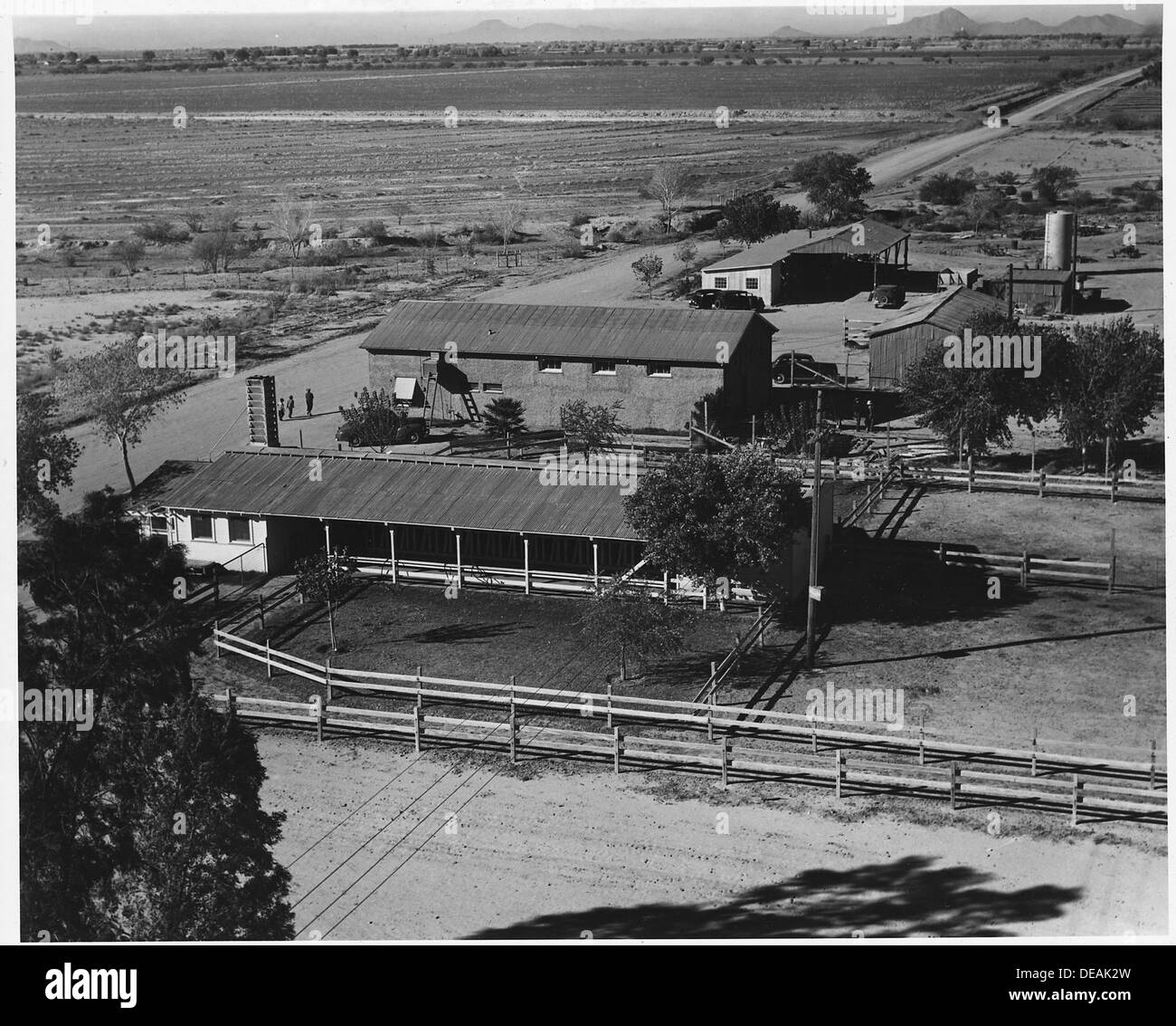 Eine ländliche Szene in der Nähe von Coolidge, Arizona, mit Bauernhäusern und den umliegenden Feldern der Casa Grande Genossenschaft. Dieses Bild spiegelt die landwirtschaftliche Landschaft des Pinal County wider. Stockfoto