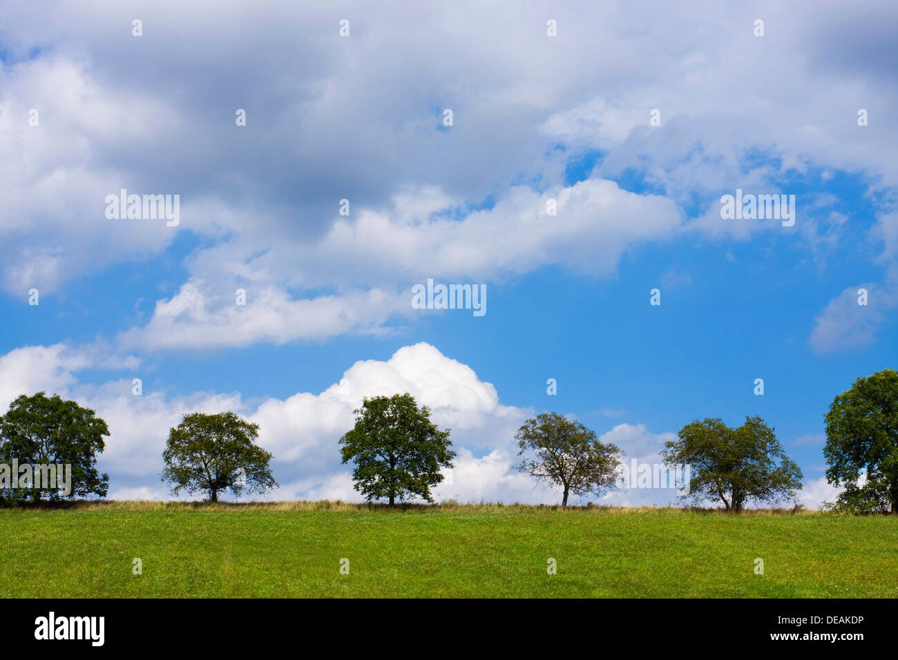 Landschaft in der Nähe von Ryman, Bezirk Melnik, Region Stredocesky, Tschechische Republik, Europa Stockfoto